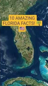 10 Amazing Facts About Florida That Will Surprise You! 🇺🇸🌴