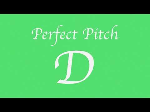 Perfect Pitch 2 | D