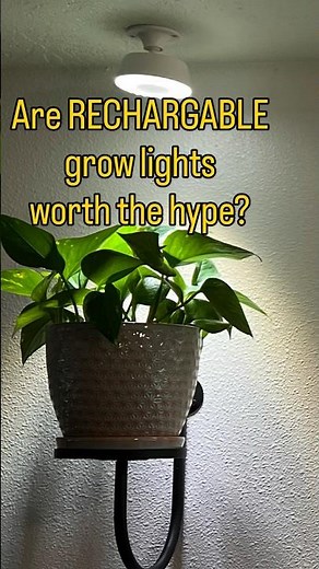 Are RECHARGABLE grow lights worth they hype?? #plants #growlights #plantparent