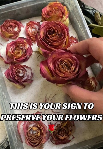 Silica Sand for Flower Preservation: A DIY Guide