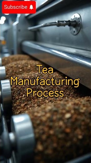 How Tea Is Made Inside the Factory ☕ | From Fresh Leaves to Your Perfect Cup!