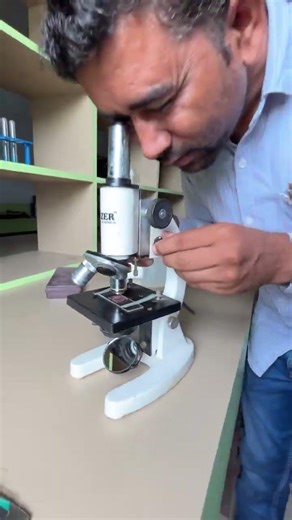 Onion Peel का यह Secret Microscope ने खोल दिया 🧪 #Biology #SciencePractical