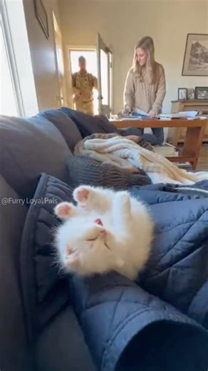 😺 🐈 Tiny Teacup Cat wakes up on clothes mountain! #cat