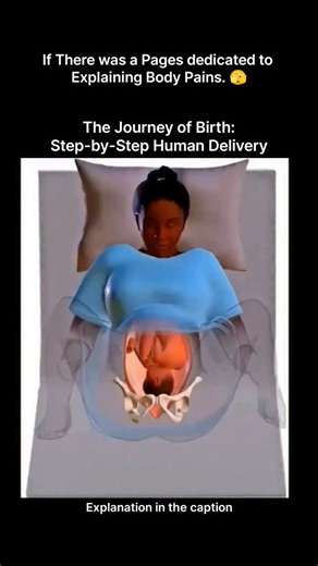 Explaining Biology on Instagram: "Normal childbirth is a natural biological process that happens in three main stages. Step 1: Labor Begins – The uterus starts rhythmic contractions that help the cervix soften, thin, and gradually open (dilate) up to 10 cm. These contractions guide the baby downward. Step 2: Baby’s Descent – Once fully dilated, the baby moves through the birth canal. The head usually comes first, rotating to fit the mother’s pelvis. With each contraction, the baby comes closer t