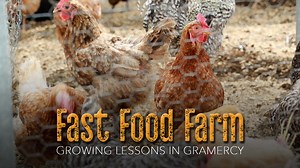 6.8K views · 42 reactions | More than 50 teachers gathered at Fast Food Farm to explore hands-on ways to bring agriculture into their classrooms. With support from Louisiana Ag in the Classroom, they discovered just how much work goes into growing the food we eat. It's a powerful reminder that when it comes to farming, there's nothing fast about it. | This Week In Louisiana Agriculture | Facebook