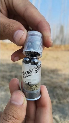 What is inside a shotgun shell?