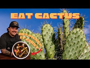 How to Cook Nopales Like a Mexican Chef | Tender, Bright & Delicious