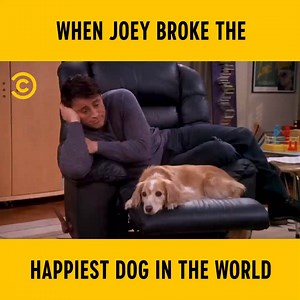 253K views · 6.7K reactions | Even the dog couldn't handle the thought of Joey and Rachel together  | Comedy Central UK | Facebook