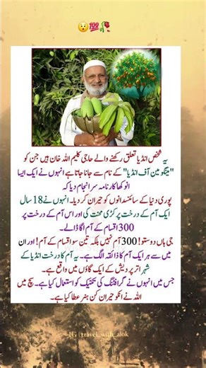 300 Mango Varieties on 1 Tree? 😯 | Mango Man of India - Haji Kaleem Ullah Khan #MangoTreeMiracle