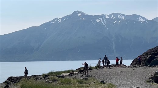We stopped to spot the whales | Foley’s Photos - sunrise