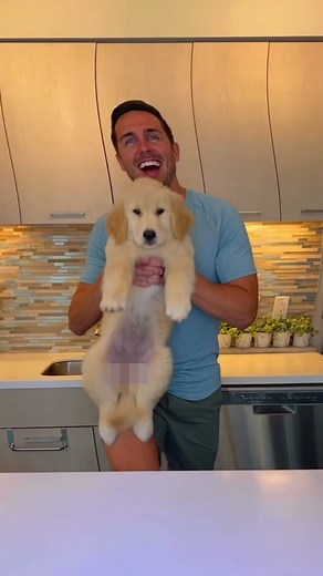 When Emma turns her head 🥰 #goldenretrieverlife #dog