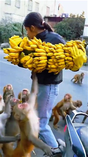 This Woman Had No Idea What Would Happen Next #monkey #monkeys