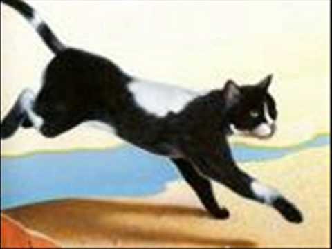 Warrior Cats Movie Trailer