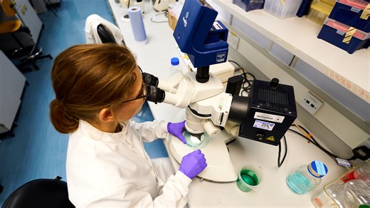 Biotechnology (Sustainable Biotechnologies) MSc with professional placement