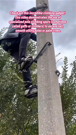 🌴🧗 Amazing Climbing Spurs! Pole Climbing Gadget for Coconut & Date Harvesting #maintenance #harvest