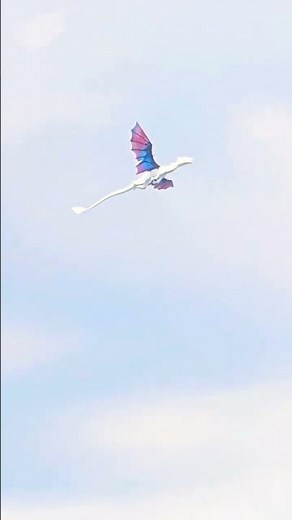 A Dragon Soars the Sky! 🐉