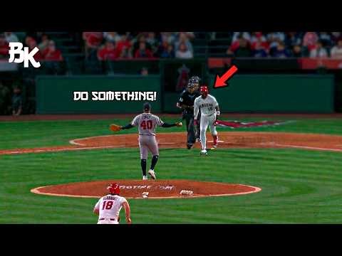MLB - Heated benches clear - Compilation
