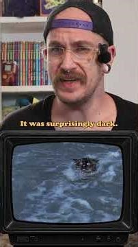 Homeward Bound #90s #90sthrowback #nostalgia #movie #90sMovies #Growingup90s #homewardbound