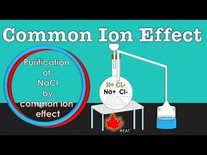 What is meant by the term Common Ion Effect | Explain Common Ion Effect with Example | Equilibrium