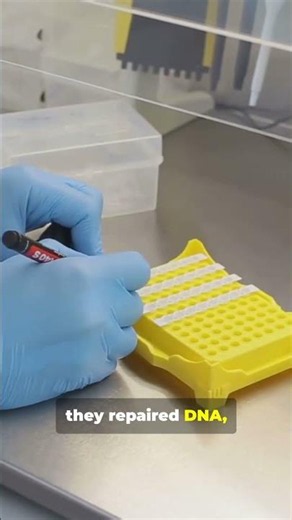 NASA Put Fungi in Space… They Lived