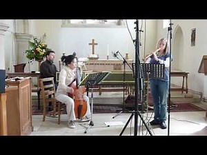 Telemann recorder sonata in D minor, performed by Passacaglia