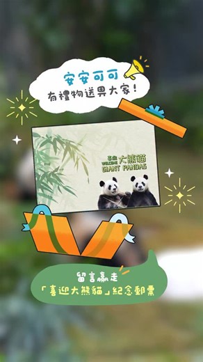 🐼 香港大熊貓官方專頁 on Instagram: "話咁快佢哋公開亮相已經超過一年喇！ 為咗答謝大家嘅愛，安安可可決定提早送聖誕禮物畀各位粉絲🎅🏻！ 🐼問題：如果可以送安安／可可一份聖誕禮物，你會送咩🎁？ 1️⃣ 留言回答問題 + tag一位朋友 2️⃣ 最有創意嘅7位參加者，可獲得香港郵政推出「喜迎大熊貓」郵票小型張一份🎁 📅截止日期：2025年12月22日中午12時 (以香港時間為準） 📌如有任何爭議，香港海洋公園將保留最終決定權 It‘s been over a year since their first public appearance! As a token of gratitude for all the love, An An and Ke Ke have a special early Christmas surprise for their fans🎅🏻! 🐼Question: If you could gift An An or Ke Ke something for Christmas, what would it be🎁? 1️⃣