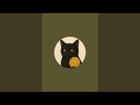 “比特猫 bit Cat”正在直播！