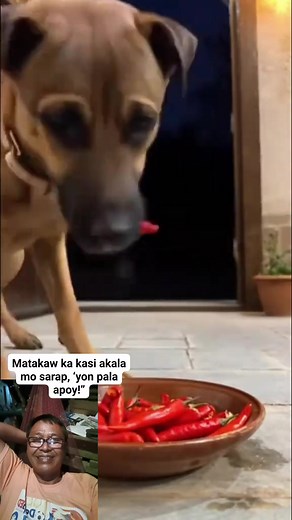 11K views · 119 reactions | #learning @highlight | Ramil Calatrava Dospueblos | Facebook