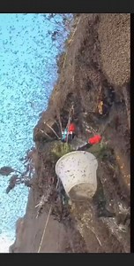 Natural wild bees, pure honey, bees in the green mountains. #beesonthefarm #bee #naturalgreenhills | Beehub Reely