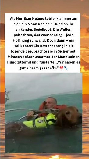 Heldenmut im Sturm – Mann und Hund überleben Hurrikan Helene 💔🐾