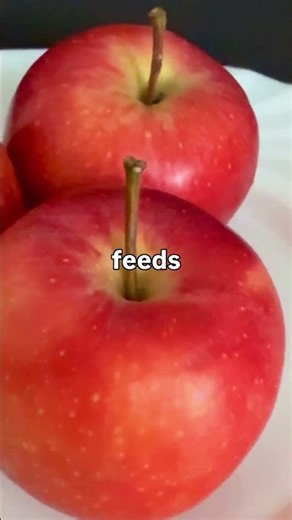 Apples: The Ultimate Gut Health Hack