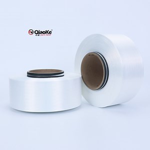 [Hot Item] High Tenacity Nylon 66 N6 N66 Type Filament Yarn 100d/34f Full Dull FDY Yarn for Warp Yarn T400 T8 T800 Like