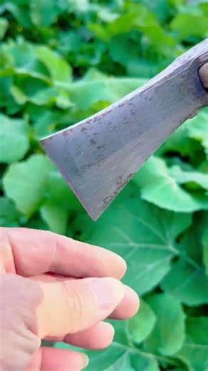 Mastering Farm Work: Using the Perfect Hoe in the Field #gardening #farming #agriculture