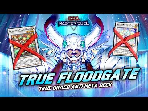 TRUE DRACO SEARCHER! ANTI META DECK (Anti-Synchro) - INSANE DUEL 🔥 [Master Duel]