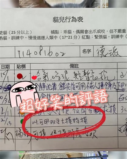 #德瑪 #114081602 #男 #黑白 #C1-3 看到志工伙伴的評語笑彎了腰 「可以雙手大摸特摸」 來來來 我瞧瞧是誰呀？ 原來是「德瑪」 我說你也進步的太快了吧！ 十月還很緊張 才二個多月就已經懂得操控人類了 真是聰明喵喵 喜歡他的朋友快速速來把他領回家吧！ #貓免疫缺陷病毒（愛滋貓） 貓咪的愛滋病毒與人類的不同，不會傳染給人或狗狗；建議單愛滋貓、或多愛滋貓飼養；只要有足夠的營養和休息，照顧起來和一般貓一樣；有些愛滋貓咪終其一生到過世也沒有發病~請給我們一個幸福的機會，帶我回家！ ———————————————— 如想認養，請至《台北動物之家》 地址：台北市內湖區安美街191號 電話 : 02 8791-3254＃3254,3255 開放時間：每週二~每週日(上午10:00～12:30點，13:30～16:00），國定假日無提供服務 PS.認養請攜帶身分證件（需年滿18歲且無棄養紀錄或違反動保法等）及「臺北e大-毛孩學院-效期一年內完課證明」，自備貓用硬式「側開」運輸籠 #認養不棄養 #認養代替購買 #認養前請再三考慮清楚 #陽台和門窗請加裝鐵網做好基本防護 #門窗防護怎麼做？