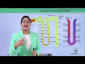 Excretory system - Counter current mechanism Video Lecture - NEET
