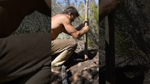 Building the walls of my new hut #survival #hut #survivalshelter #survivalist
