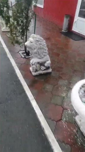 ЛЕНОБЛ КИРОВСК КАФЭ 081225