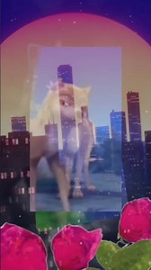 Alpha & Omega | {Moonlight} AMV