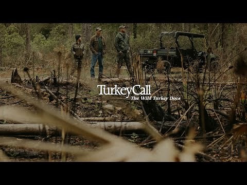 Turkey Call: The Wild Turkey Docs