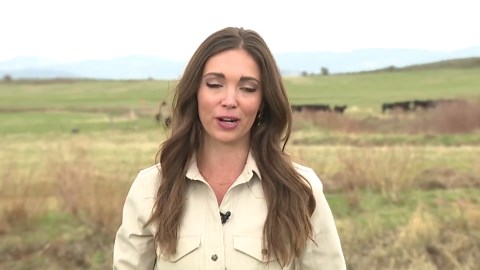 ‘Wolves don’t take a day off’: Kremmling ranchers said wolf reintroduction outpaced preparedness