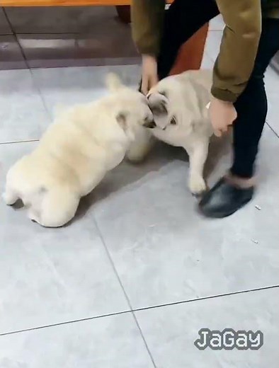 Team Fortress 2 (9) (no effort) #tf2 #teamfortress2