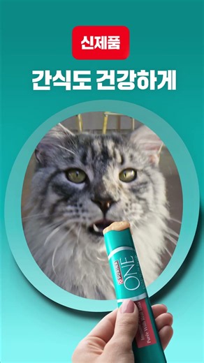 간식도 건강하게! 신제품 짜먹는 영양 간식 퓨리나 ONE