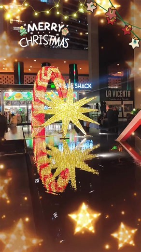 ✨ ¡Feliz Navidad desde la Ciudad de México! 墨西哥城的圣诞夜🎄 🎅🏻祝看到这条的每一个人，圣诞快乐！ Merry Christmas! 愿你的夜晚充满温暖、笑声和糖果般的甜蜜❤️ #墨西哥城 #圣诞树 #旅行日記 #christmas #feliznavidad #merrychristmas
