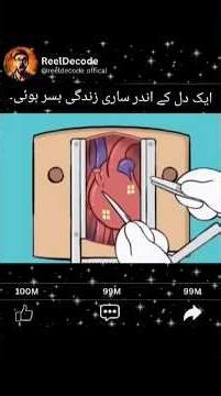 A whole life lived within one heart #cartoonstory #animalcharacter #cartoon