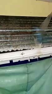 2.7K views · 19 reactions | Cleaning time. Western AirTech #wallmountairconditioning #westernairtech #airconditioningrepair #airconditionerservice #mideaairconditioner | Western AirTech | Facebook