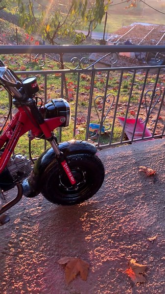 #ψαχνοντας✈️ #chappy #🧿💎👑 #5? @setsikas @Mitsaras