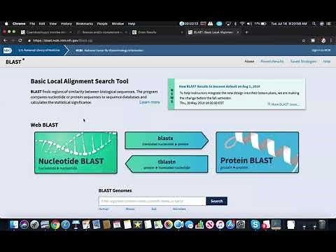 Analyzing Gene Sequence Results with BLAST
