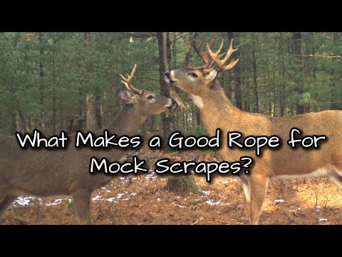 What Makes a Good Rope for Making Deer Hunting Mock Scrapes?
