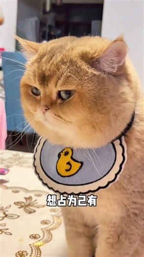 Dealing with a Mom's Overly Promiscuous Behavior: What Should I Do